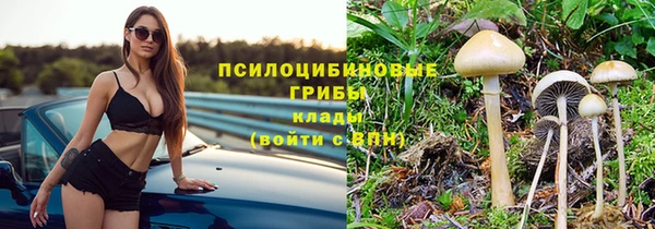 скорость Лиски