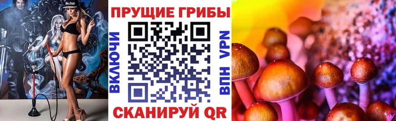 Псилоцибиновые грибы прущие грибы  Сухой Лог 
