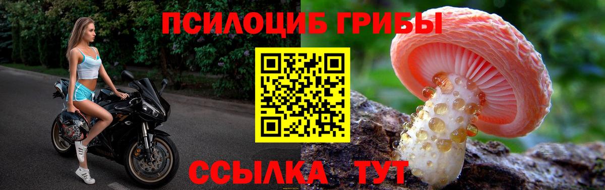 Псилоцибиновые грибы MAGIC MUSHROOMS Сухой Лог