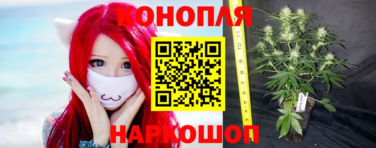 Бошки марихуана Bruce Banner Сухой Лог